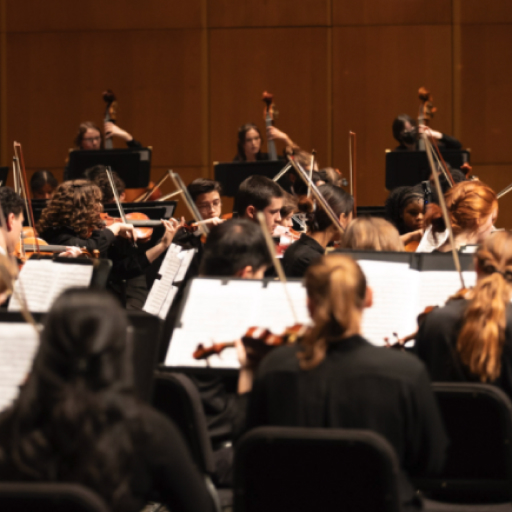 Alaska Youth Orchestra Concerts in Austin