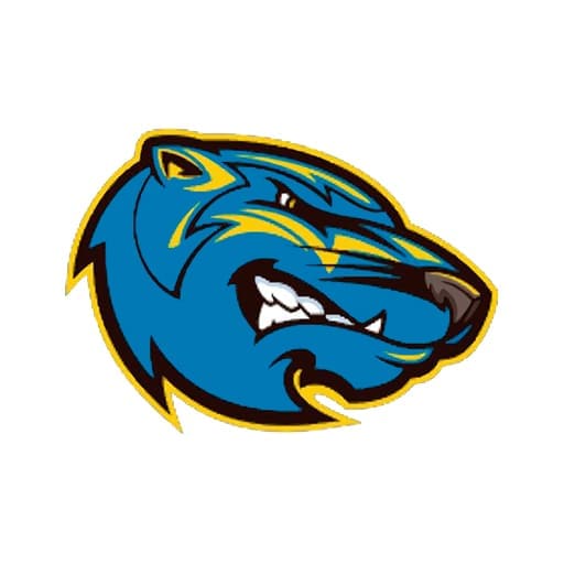 Brescia Bearcats Schedule 2026–2027