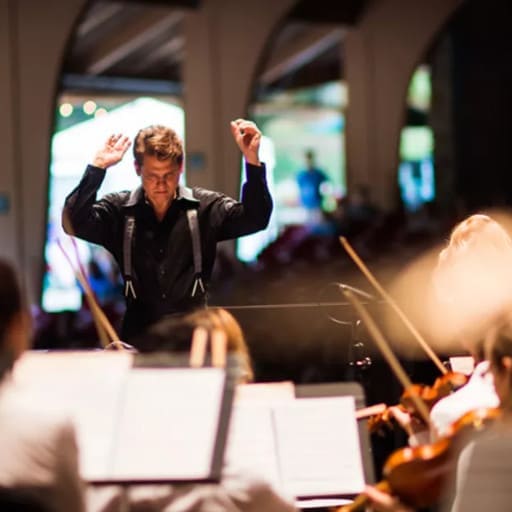 Brevard Sinfonia Concerts in Austin