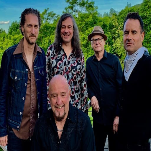 The Fabulous Thunderbirds Concerts in Austin